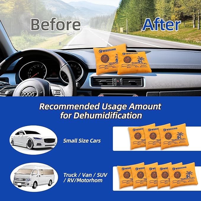 100gx10pcs Rechargeable Desiccant Packs for Storage, Reusable Dehumidifier Bags Visible Color Indicating Silica Gel Packets Moisture Absorbers for Safe Closet 3D Filaments Electronics Camera