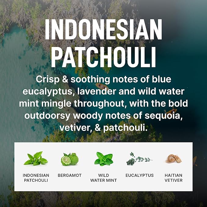 Laundry Sauce - Laundry Fabric Softener (Indonesian Patchouli) Luxury Fragrance, Softens & Preserves Fabric, Reduces Wrinkles, 19 Fl Oz