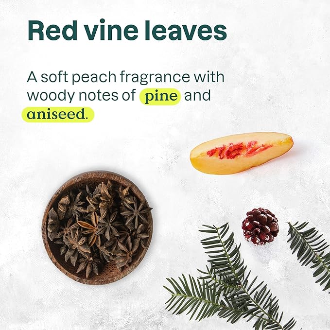 ATTITUDE Foaming Hand Soap, EWG Verified, Plant and Mineral-Based Ingredients, Vegan and Cruelty-free Personal Care Products, Vine Leaves and Pomegranate, 10 Fl Oz (Pack of 3)