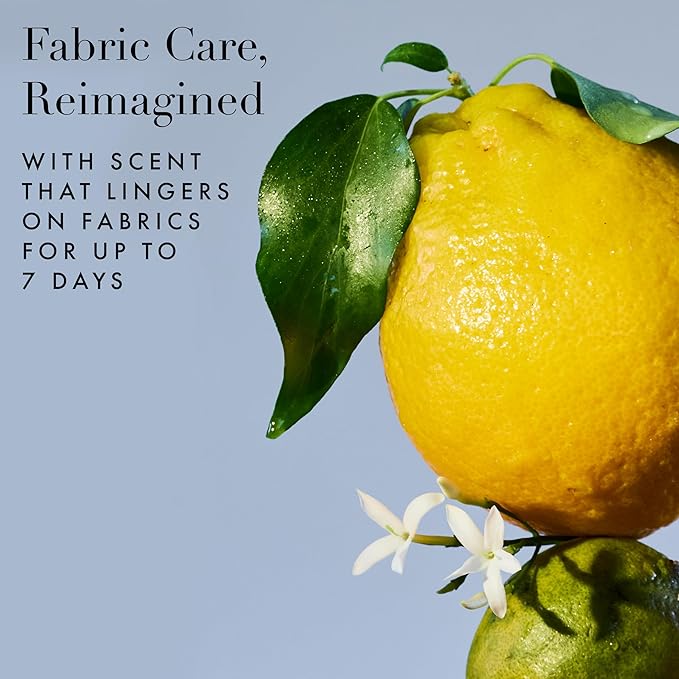 The Laundress Fresh Take Luxury Laundry Detergent, Long-lasting Green Citrus Fragrance up to 7 Days of Scent, BioRadiance Enzyme Technology, Keep Clothes Vibrant for Longer, USDA Biobased, 15 Loads