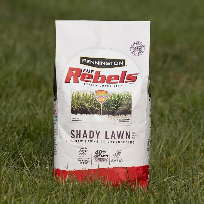 Pennington The Rebels Tall Fescue Shady Grass Seed Mix 3 lb