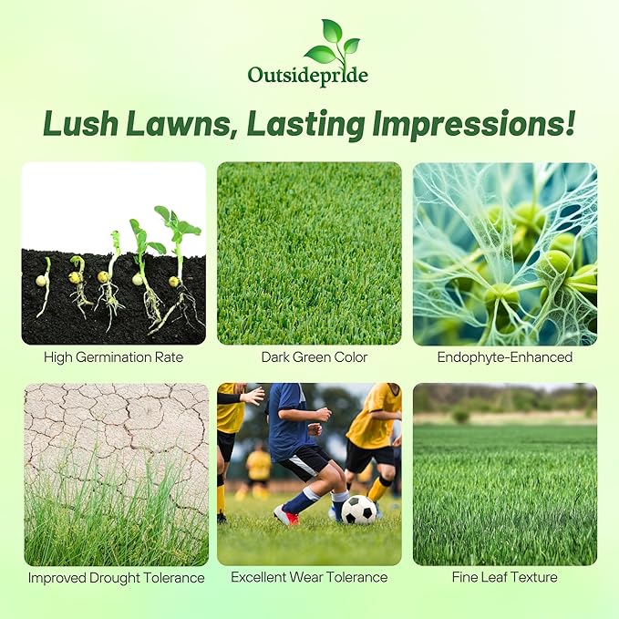 Outsidepride Fireball & Hattrick Rye Grass Seed Blend - 50 Lbs. Wear Tolerant, Fine Leaf Texture Perennial Rye Grass Seeds for Lawn, Sports Turf & More, OptiGrowth Coated for Better Establishment