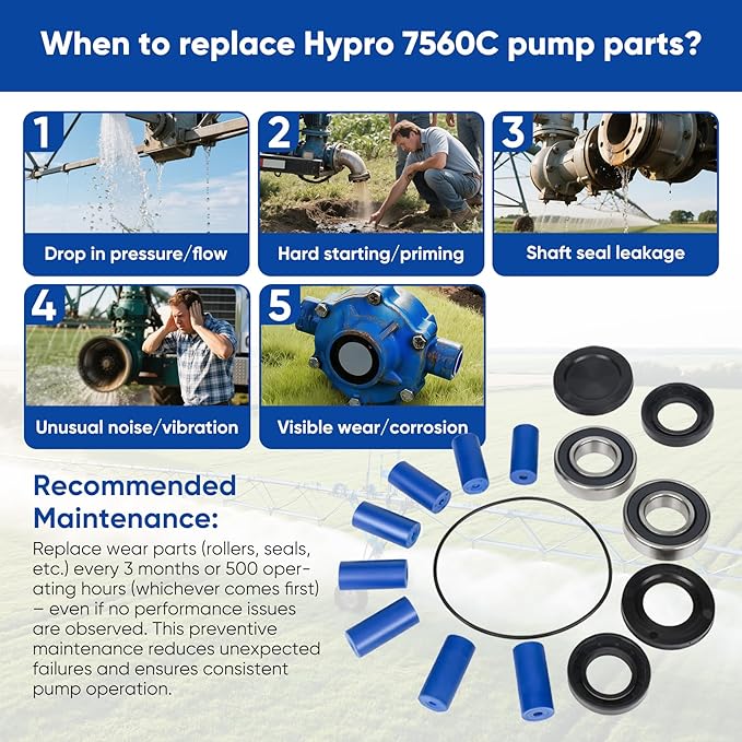 3430-0381 Super Roller Repair Kit Compatible with Hypro 7560 Series Pump 8-Roller Pump（7560C, 7560N, 7560XL）Includes 8 Super Rollers, 2 Fluoro Seals, 1 O-ring, 2 Bearings, 2 bearing Caps