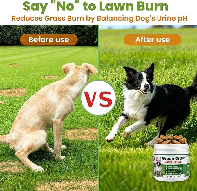 VUN Green Grass Dog Chews,Dog Urine Neutralizer for Lawn,Prevent Yellow Grass Spots&Lawn Burn, Lawn Saver,Support Urinary & Digestive Health with DL-Methionine,Cranberry & Probiotics-100 Soft Chews