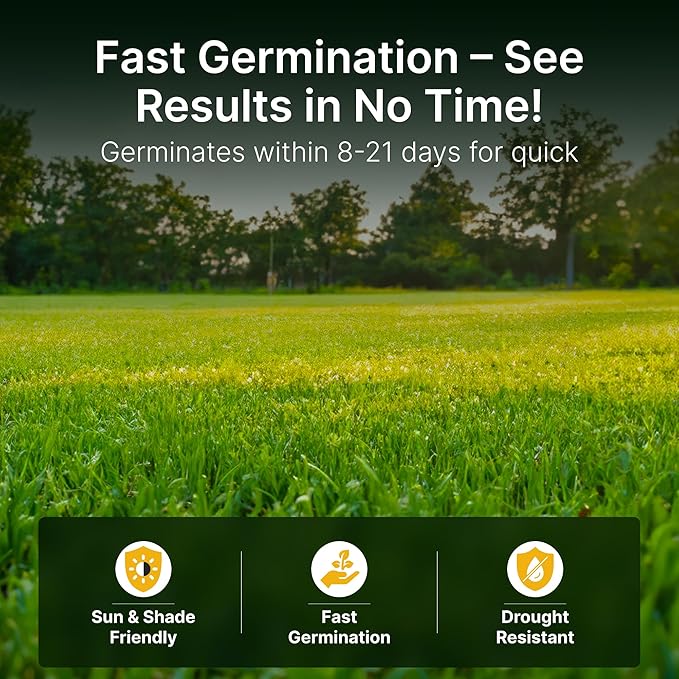 Sun and Shade Tall Fescue Grass Seed Mix, Drought Resistant, Thick Lawn, Fast Germination