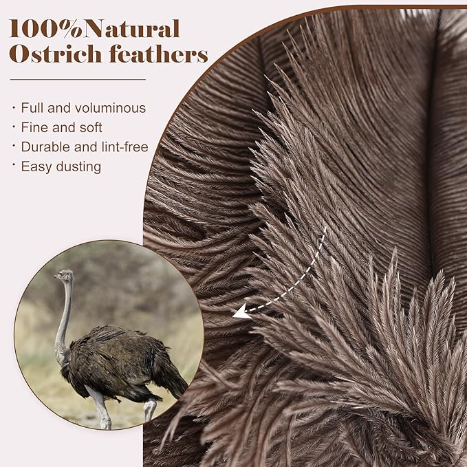 Natural Ostrich Feather Duster 14.9 inch Fluffy Mini Dusters with Plastic Handheld for Cleaning Car Keyboard Office 1 Pcs