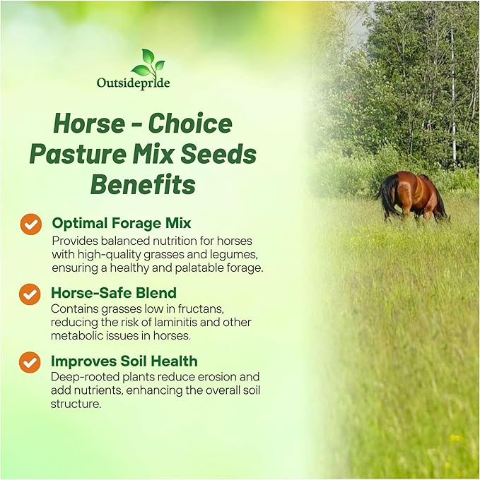 Outsidepride Horse Choice Pasture & Livestock Grass Seed Mix - 50 Lbs Perennial, Drought Tolerant, Cold Hardy, & High Yield Lawn Grass Seeds for Grazing, Hay, Silage, & Greenchop