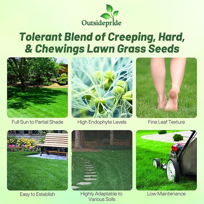 Outsidepride Legacy Fine Fescue Grass Seed Mix - 50 lbs. Shade & Sun Tolerant Blend of Hard Fescue, Chewings Fescue & Creeping Red Fescue with OptiGrowth Coating for Better Establishment