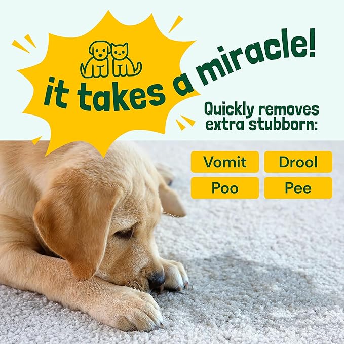 Sunny & Honey Carpet Cleaner Spray - 32 Fl Oz, Spring Mint - 40% More Enzymes & Carpet Stain Remover - Pet Urine Enzyme Cleaner & Floor Deodorizer - Pet & Kid Safe Rug Cleaner