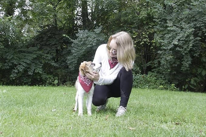 $averPak Pets - InsectGuard Permethrin Treated Mosquitoes, Flies, Ticks & More Insect Repellent Dog Bandanna Paisley (Hunter Green)