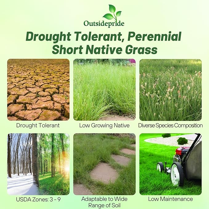 Outsidepride Perennial Short Native Grass Seed Mix - 5 lbs. Premium Mix of Blue Grama, Buffalo, Sideoats Grama, & Sheep’s Fescue Grass Seeds for Low-Maintenance, Heat & Drought-Tolerant Landscaping