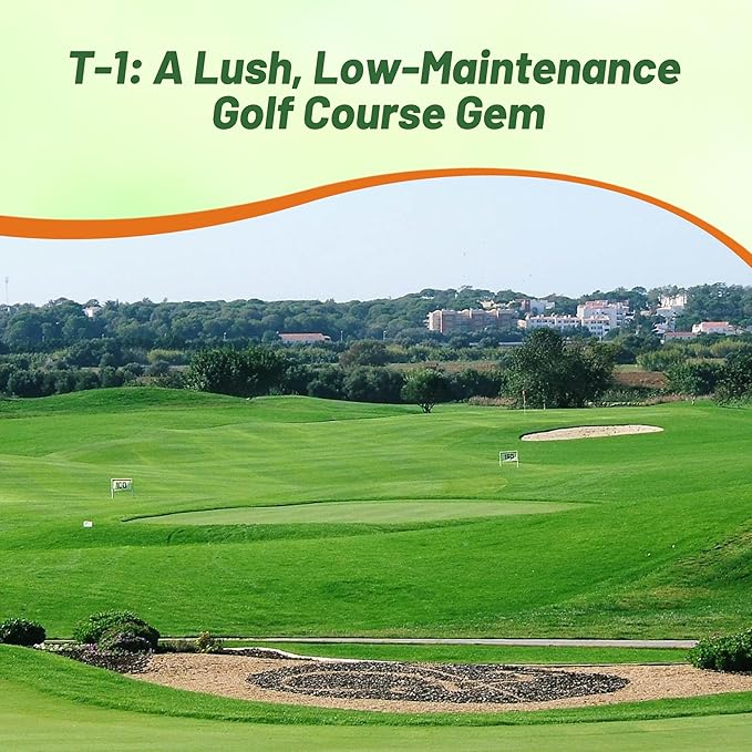 Outsidepride T-1 Creeping Bentgrass Seed - 5 lbs Fine-Bladed, Premium Quality Turf, Grass Seed for Smooth Surface, & High-Traffic Areas, Ideal Grass for Golf Courses Putting Greens, & Fairways