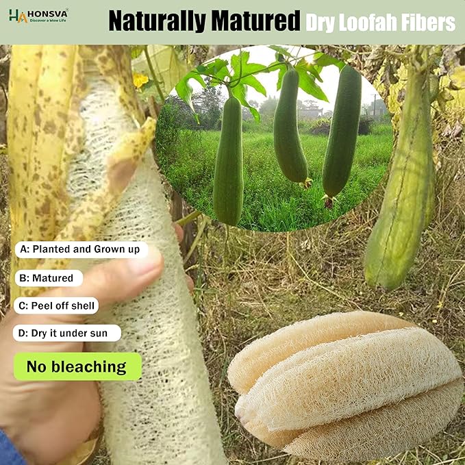 Loofah Natural Kitchen Sponge (5 Pcs), No Scratch Scrubber for Dish Cleaning, 100% Plant Based Vegetable Scrubber, Zero Waste and Eco Friendly Sponge for Kitchen (3 Pcs Oval+2 Pcs Rectangular)