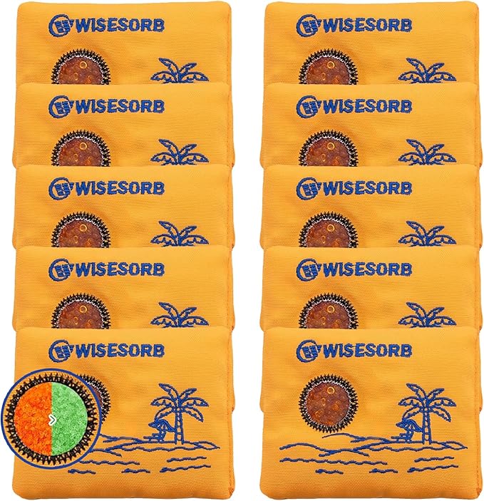 100gx10pcs Rechargeable Desiccant Packs for Storage, Reusable Dehumidifier Bags Visible Color Indicating Silica Gel Packets Moisture Absorbers for Safe Closet 3D Filaments Electronics Camera