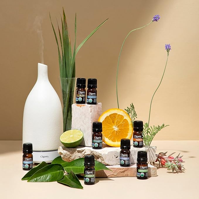 Cliganic Organic Cinnamon Leaf Essential Oil, 100% Pure Natural for Aromatherapy | Non-GMO Verified (Packaging May Vary)