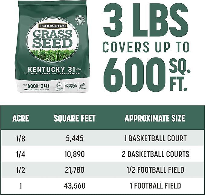Pennington Kentucky 31 Tall Fescue Penkoted Grass Seed 3 lb, Green (Pack of 2)