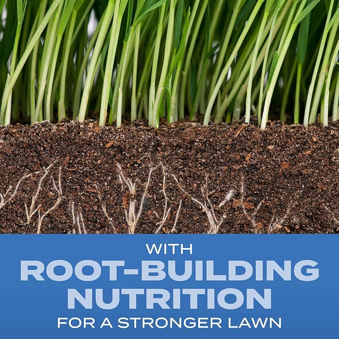 Scotts Turf Builder Grass Seed Sun & Shade Mix with Fertilizer and Soil Improver, Thrives in Many Conditions, 2.4 lbs.
