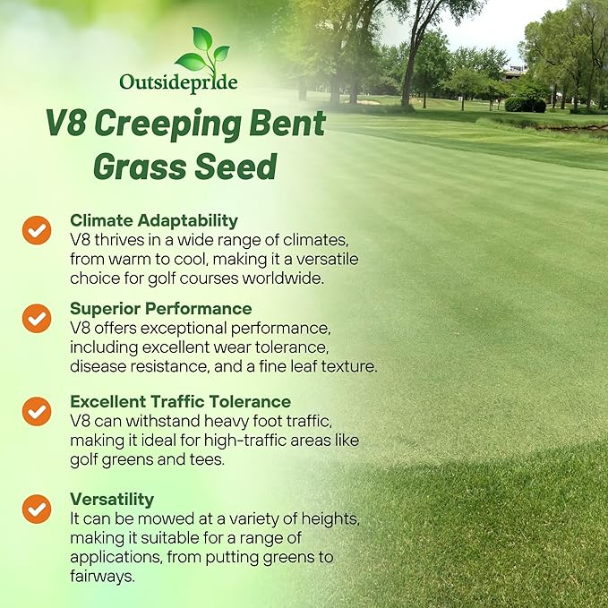 Outsidepride V8 Creeping Bentgrass Seed - 25 lbs. Fine-Bladed, Premium Quality Turf, Grass Seeds for Smooth Surface, & High-Traffic Areas, Ideal Grass for Golf Courses Putting Greens, & Fairways