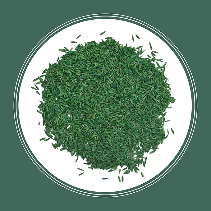 Pennington Kentucky 31 Tall Fescue Penkoted Grass Seed 3 lb