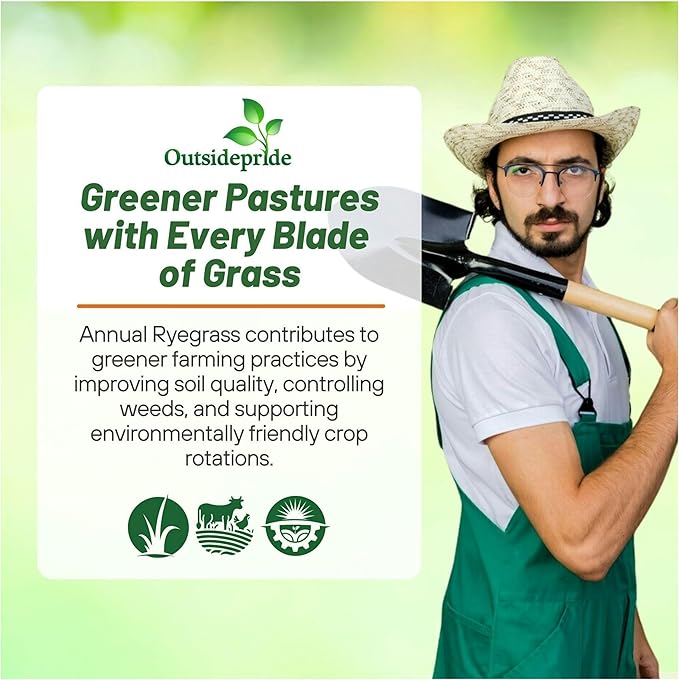 Outsidepride Ryegrass Seeds - 25 lb. Annual, Hardy & Fast-Growing, Cover Crop Seeds for Planting Glossy Dark Green Grass Leaves, Ideal for Hay Foraging, Pasture Grazing & Erosion Control