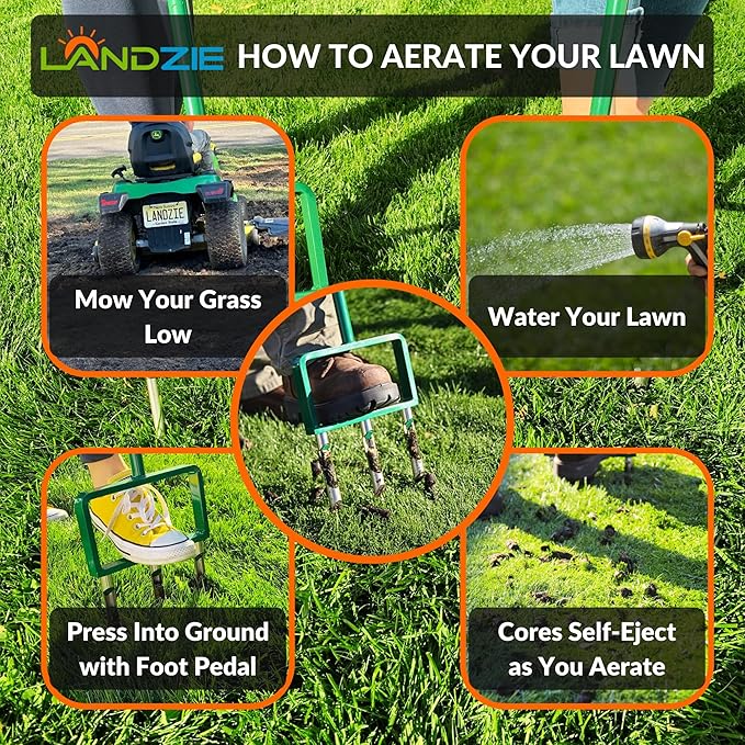 Landzie - The Original Hollow and Spike Tine Lawn Aerator Set - Includes 1 Aerator + Set of 3 Hollow Tines and 3 Spike Tines - 42 Inch Manual Stainless Steel Gardening Hand Tool