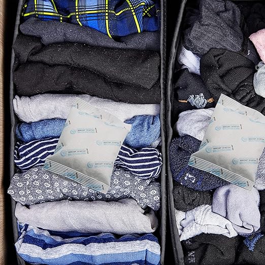 6Pcs 100 Gram Silica Gel Packets, White Dessicant Beads Packets for Storage, Pure and Safe Silica Gel Desiccant Packs, Moisture Absorber Silica Gel Beads Packs for Moisture Control