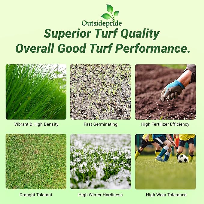 Outsidepride Royal TXD Bermuda Grass Seed Blend - 10 lbs. Warm Season, Fast Growing Turf Grass Seeds: Heat & Drought Tolerant, Ideal for Home Lawns & Sports Fields, Dense & Lush Green Coverage
