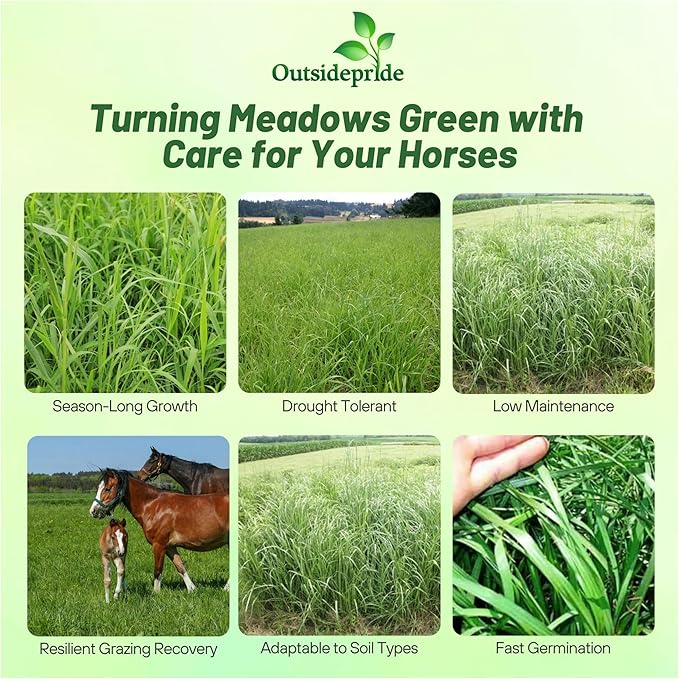 Outsidepride Horse Choice Pasture & Livestock Grass Seed Mix - 50 Lbs Perennial, Drought Tolerant, Cold Hardy, & High Yield Lawn Grass Seeds for Grazing, Hay, Silage, & Greenchop