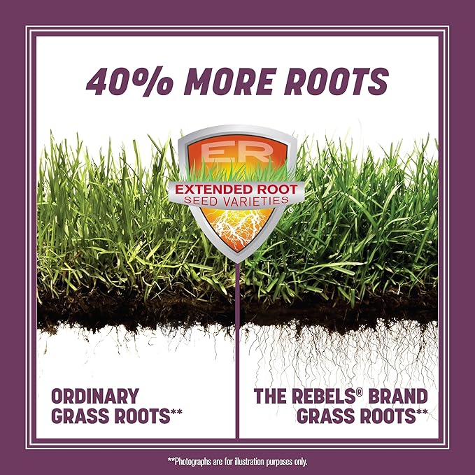 Pennington The Rebels Tall Fescue Shady Grass Seed Mix 3 lb