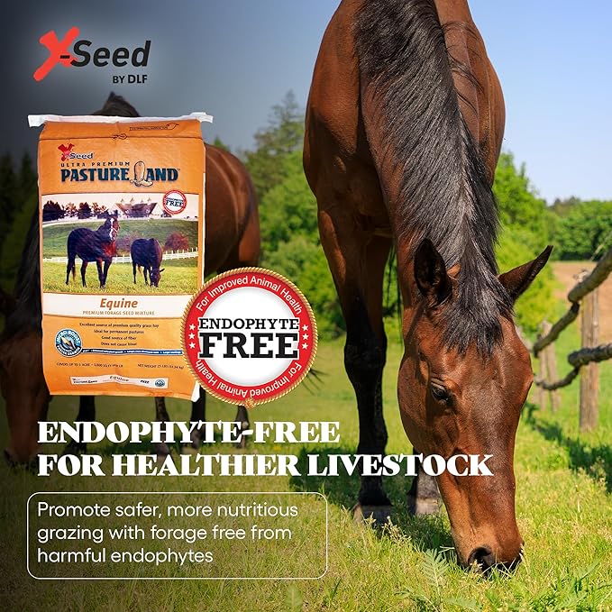 X-Seed Pasture Land Equine Forage Seed Mixture with Micro-Boost – No Mow Pasture Grass with Clover, Ryegrass & Perennial Greens – Recommender for Horses, & Livestock – Premium Blend, 25-Pound