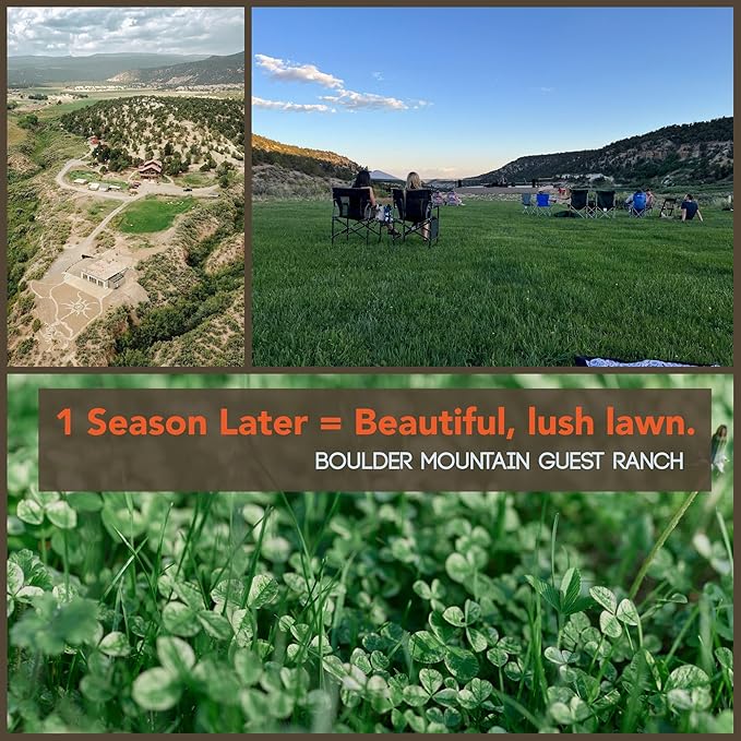 Micro Clover Seed for Lawn - 1 Lb - ~400,000 Microclover Seeds for Planting - Drought-Tolerant Mini Grass Alternative by Mountain Valley Seed Company