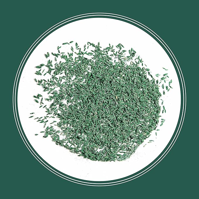 Pennington Smart Seed Sun and Shade Tall Fescue Grass Seed Mix for Southern Lawns 3 lb