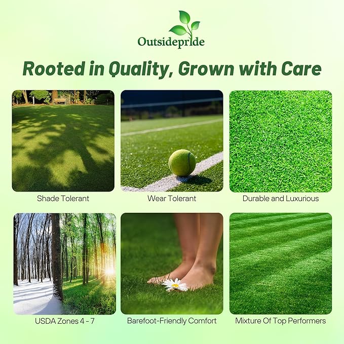 Outsidepride Showtime Perennial Lawn Grass Seed Mix - 25 lbs. Premium Blend of Creeping Red Fescue, Rye Grass & Kentucky Bluegrass Seed for Sports Fields, OptiGrowth Coated for Better Establishment