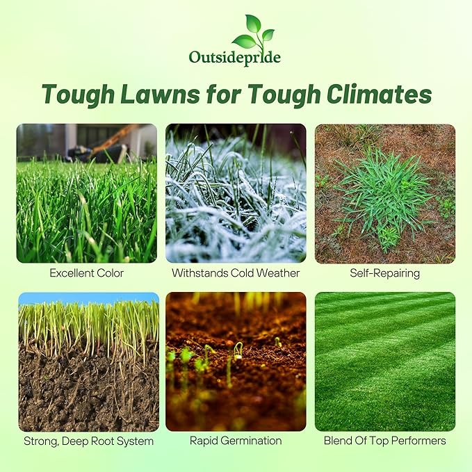 Outsidepride Combat Extreme Northern Zone - 50 Lbs Cold-Hardy, Drought-Resistant Turf Type Tall Fescue & Kentucky Bluegrass Lawn Grass Seed Blend, OptiGrowth Coated for Better Establishment