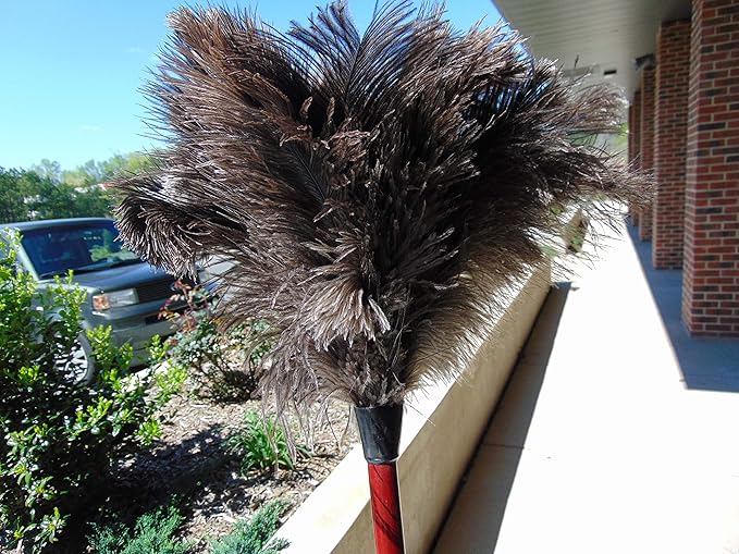 28-29" Natural Ostrich Feather Duster with Long Wooden Handle - Eco-Friendly & Reusable for Cleaning and Dusting