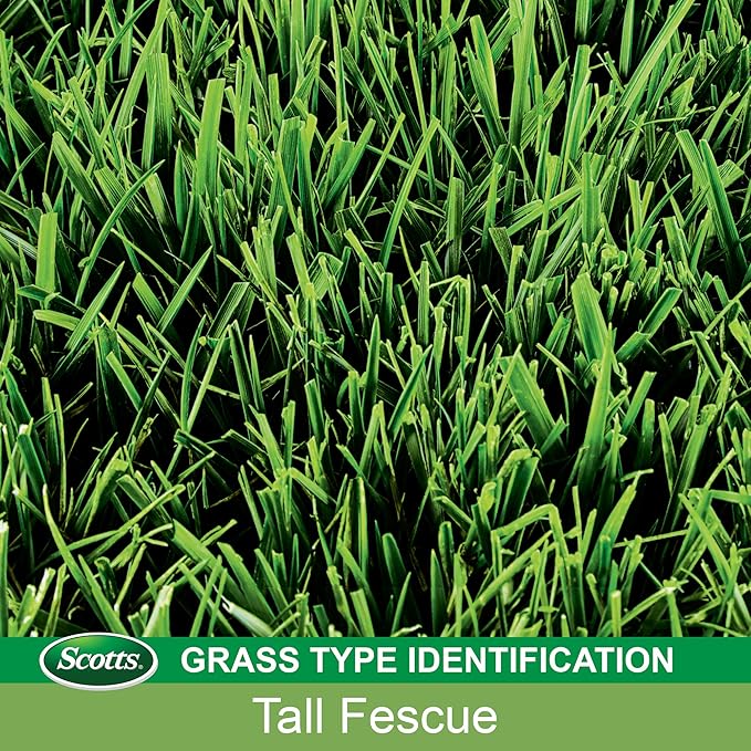 Scotts Turf Builder Grass Seed Tall Fescue Mix, Grows Deep Roots for a Durable, Livable Lawn, 40 lbs.