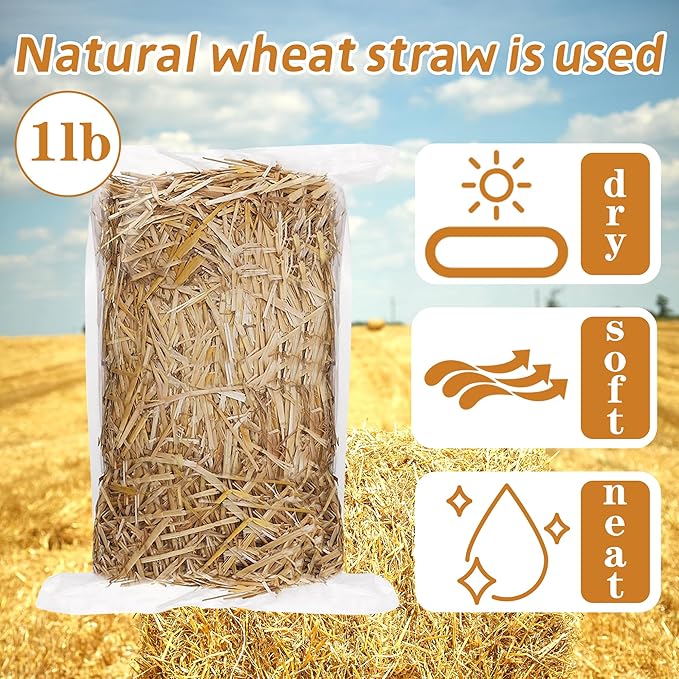 WNJ Natural Wheat Straw - 1 LB Dry Straw, Soft 100% Natural Straw Bale for Animal Bedding, Garden Mulch, Compost & Stray Cats Dogs Poultry, and Grass Cover