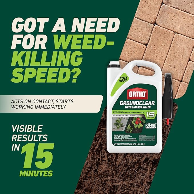 Ortho GroundClear Weed and Grass Killer with Comfort Wand, Kills Dandelions, Chickweed, Crabgrass, Moss and More in Patios and Landscapes, OMRI Listed, 1 gal.