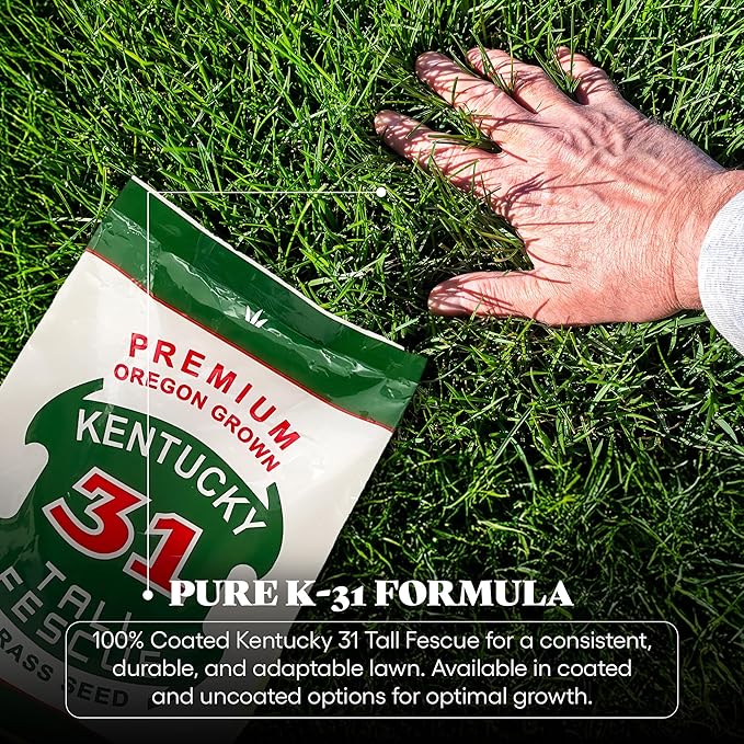X-Seed Oregon Grown Kentucky 31 Tall Fescue Grass Seed for Sun and Shade Drought-Resistant Lawn for High Traffic, Forage & Turf Grass – Designed for Extreme Durability & Retaining Moisture – 5 lb Bag
