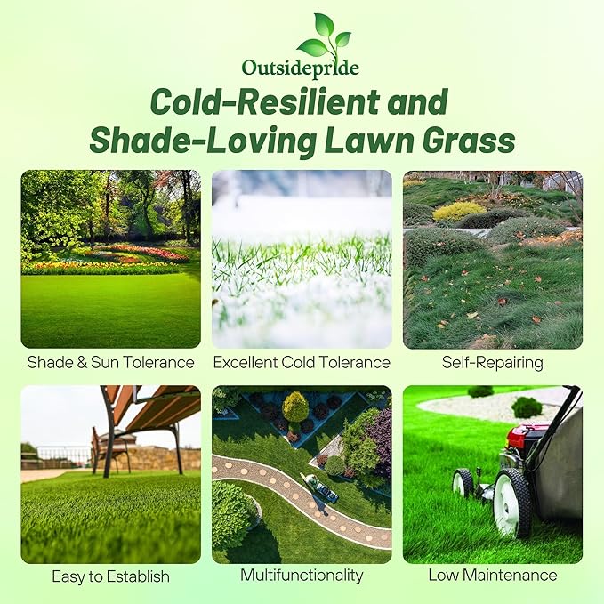 Outsidepride Creeping Red Fescue Grass Seed - 5 Lbs. Cool Season, Soft Textured, Self-Repairing Fine Fescue Grass Seeds for Lawn w/OptiGrowth Coating, Ideal for Dryland Cover Crop & Landscaping