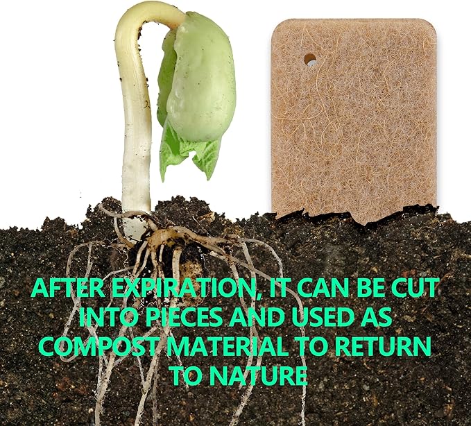 Kitchen Biodegradable Compostable Cellulose Sponges - Pack of 10 Eco Friendly Sponge