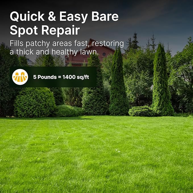 Sun and Shade Tall Fescue Grass Seed Mix, Drought Resistant, Thick Lawn, Fast Germination