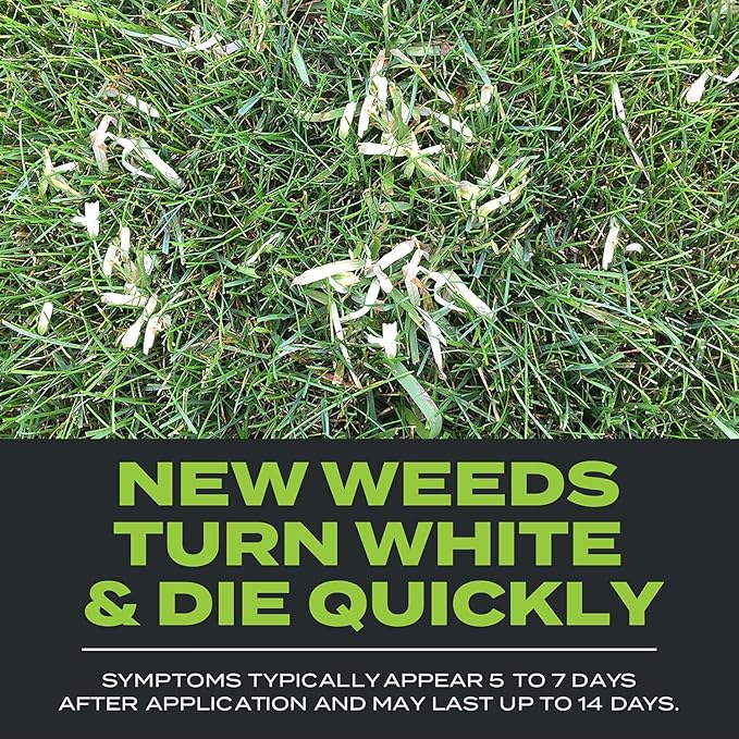 Scotts Turf Builder Triple Action Built for Seeding - Weed Preventer Plus Fertilizer, 4,000 sq ft (2-Pack)