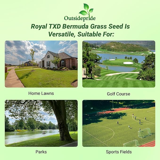 Outsidepride Royal TXD Bermuda Grass Seed Blend - 5 lbs. Warm Season, Fast Growing Turf Grass Seeds: Heat & Drought Tolerant, Ideal for Home Lawns & Sports Fields, Dense & Lush Green Coverage
