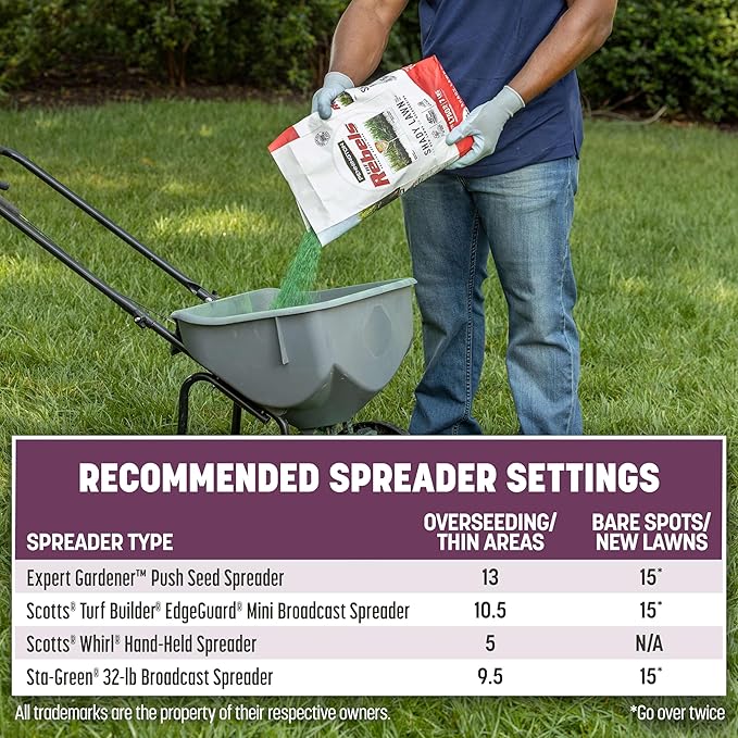 Pennington The Rebels Tall Fescue Shady Grass Seed Mix 3 lb