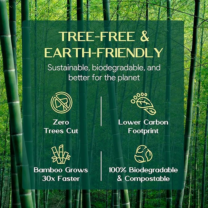 Premium Bamboo Paper Towels - Eco-Conscious, 2-Ply, 75 Sheets/Roll - Pack of 6 Rolls - 36 Rolls Per Case - Super Absorbent & Sustainable | Palm Naki (75 Sheet Case of 36)