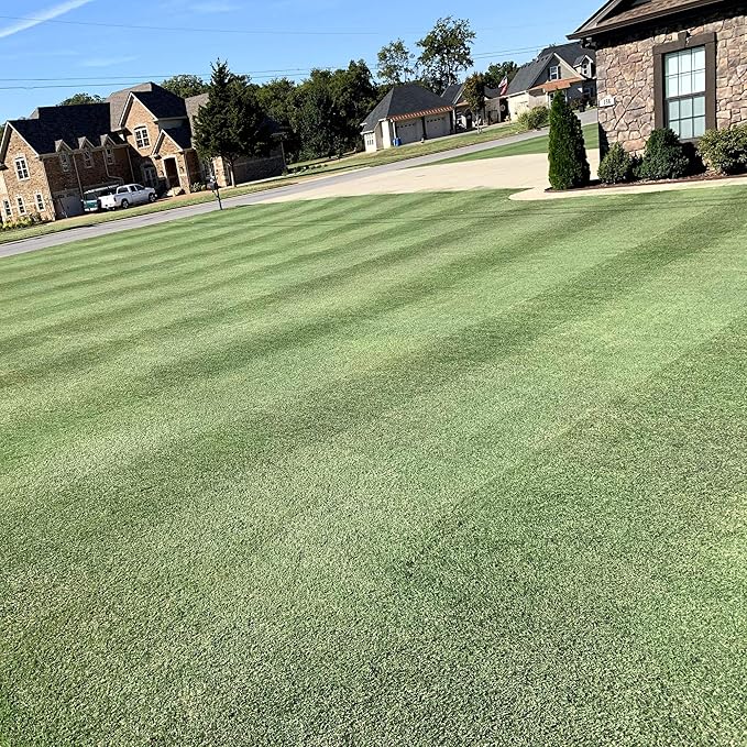 Outsidepride Yukon Bermuda Grass Seed - 2 lbs Cold & High Traffic Tolerant, Premium Hybrid Bermuda Turf Grass Seeds for Lawn, Ideal Low Maintenance Seed Grass for Colder & Challenging Area